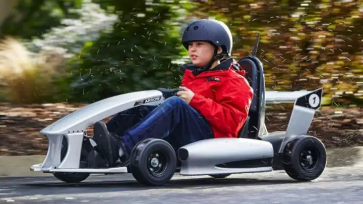 kart electrique adulte