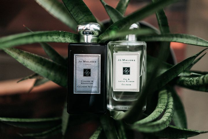 Les 10 Meilleures Jo Malone Parfum Pour Hommes Et Femmes 35 jo malone parfum